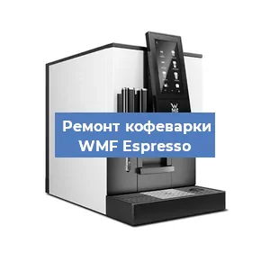 Декальцинация   кофемашины WMF Espresso в Ижевске